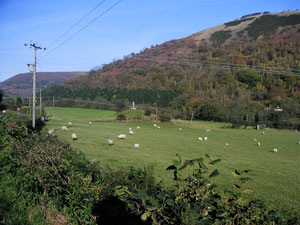 Farm land near Abbey Grange Campsite